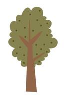 Cartoon tree illustration. Vector illustration of autumn trees on a white background.