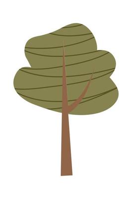 Cartoon tree illustration. Vector illustration of autumn trees on a white background.