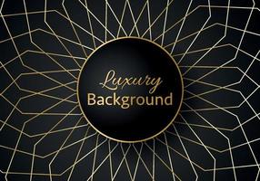 Abstract shape dark and golden glittering lines color luxury background. elegant modern background. vector