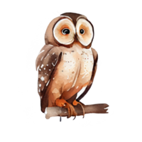 Vintage Watercolor owl . AI Generated png