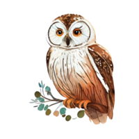 ancien aquarelle hibou . ai généré png