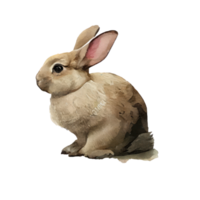 ancien aquarelle lapin . ai généré png