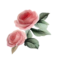 watercolor roses . AI Generated png