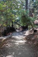 Views in the mountains along the path through the gorge sunny day. View of Gorge, a gorge in the Mountains of Greece, lying on the slopes of Mountains, one of the deepest gorges in the world. photo