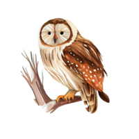 ancien aquarelle hibou . ai généré png