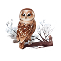 ancien aquarelle hibou . ai généré png