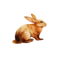 ancien aquarelle lapin . ai généré png