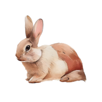 Vintage Watercolor Rabbit . AI Generated png