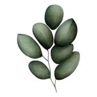 watercolor green leaves . AI Generated png