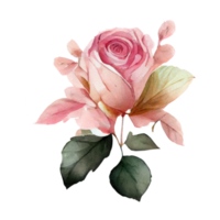 watercolor roses . AI Generated png