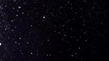 sneeuw vallend geïsoleerd Aan zwart achtergrond in 4k voor foto bewerken, beweging grafiek, groot en klein sneeuwvlokken. video