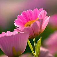 Beautiful colorful flower background. photo