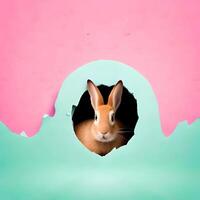 Cute rabbit popping out of a hole background. photo