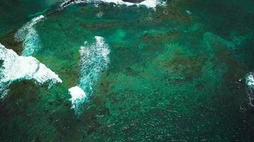 antenne enquête van een dar over- de oppervlakte van de oceaan video