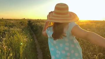 seguir yo - contento joven mujer en amarillo sombrero tracción tipo mano. mano en mano caminando lanzar un campo de verde trigo a puesta de sol video