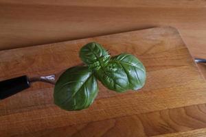 basil and tomate photo