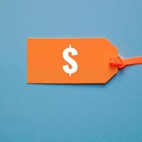 dollar symbol in orange price tag on blue background photo