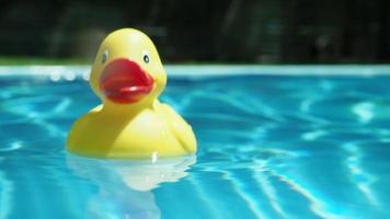 geel speelgoed- eend dobberen Aan top van water in peddelen zwembad video