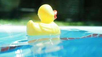 giallo giocattolo anatra ondeggiando su superiore di acqua nel paddling piscina video