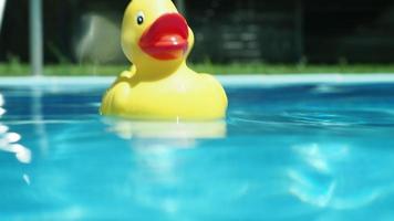 geel speelgoed- eend dobberen Aan top van water in peddelen zwembad video