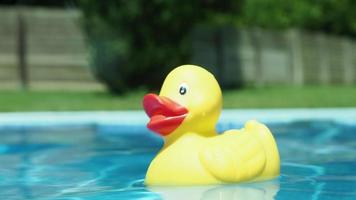 Jaune jouet canard se balancer sur Haut de l'eau dans pagayer bassin video
