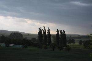 Dark Thunderstorm Clouds above Cypress Trees photo