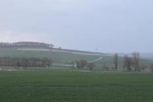 verde campos con ligero nieve foto