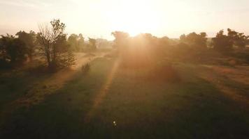 antenne visie van de rivier- gedekt met mist Bij ochtendgloren. Oekraïne video