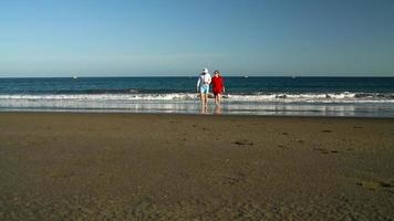 Pareja en amor despreocupado caminando a el agua en el playa. pintoresco Oceano costa de tenerife, canario islas, España video