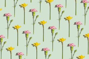 Pink and yellow spring flowers pattern on a green background. Daffodils and carnations flowers flat lay top view photo