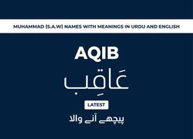 Muhammad S.A.W Names with Meanings in Urdu and English vector