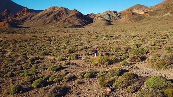 aéreo Visão do ativo caminhante mulher caminhada em teide nacional parque. caucasiano jovem mulher com mochila em tenerife, canário video