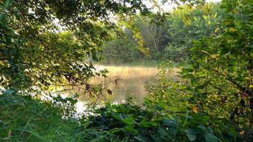 Time lapse view of the river covered with fog at dawn. Ukraine video