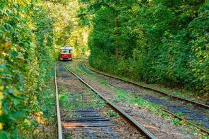 Tram and tram rails in colorful forest photo