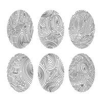 Set of vector fingerprints. Human biometric fingerprints, unique thumb line prints.