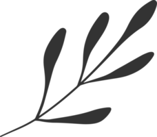 mão desenhado abstrato folha e ramo png