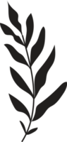 Hand drawn Abstract Leaf and Branch png