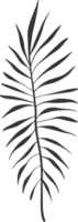 mão desenhado abstrato folha e ramo png