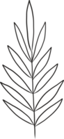 Hand drawn Abstract Leaf and Branch png