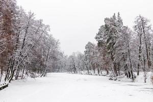 Winter lake covered with ice and snow photo