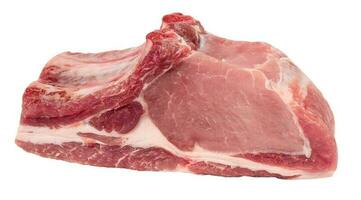Raw pork steak on the bone isolated on white background photo
