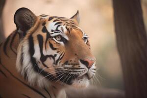 a close up of a bengal tiger's face in a forest. photo