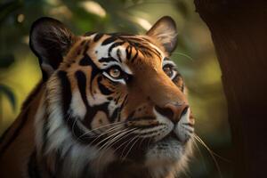 a close up of a bengal tiger's face in a forest. photo