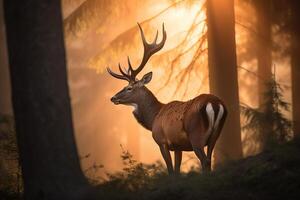 un majestuoso ciervo con cornamenta en pie con orgullo en el bosque a amanecer. ai generado foto