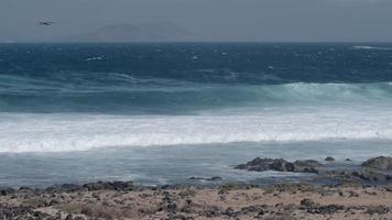 Waves breaking onto Famara beach, Lanzarote. video