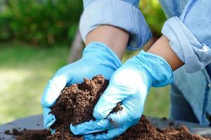 Peat moss, fertilizer soil for organic agriculture, plant growing, ecology concept. photo