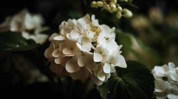 hortensia flor antecedentes. ilustración ai generativo foto