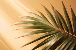 Palm tree sunny background. Illustration photo