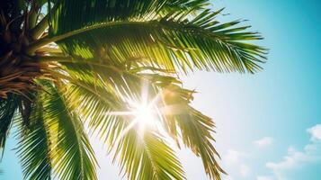 palma árbol soleado antecedentes. ilustración ai generativo foto