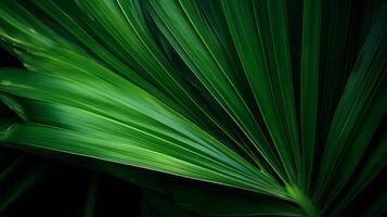 Green Palm Leaf background. Illustration AI Generative photo